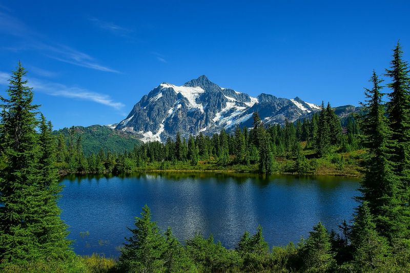 Whatcom County, WA